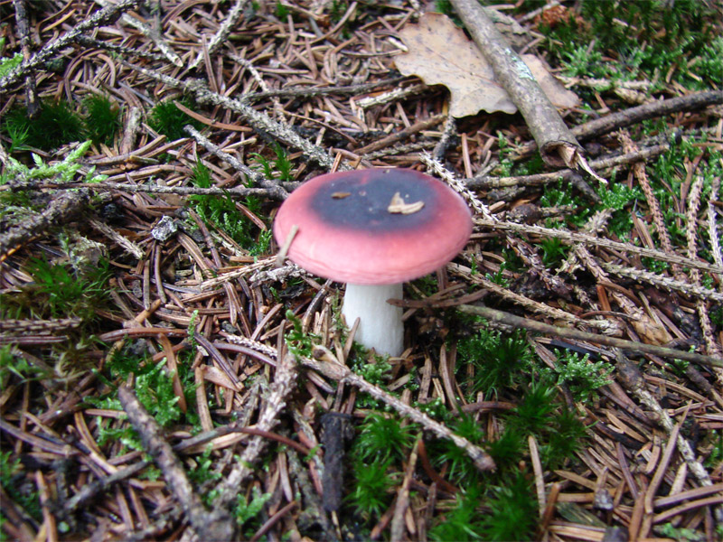 Vak 2007 10 IJhorst 045