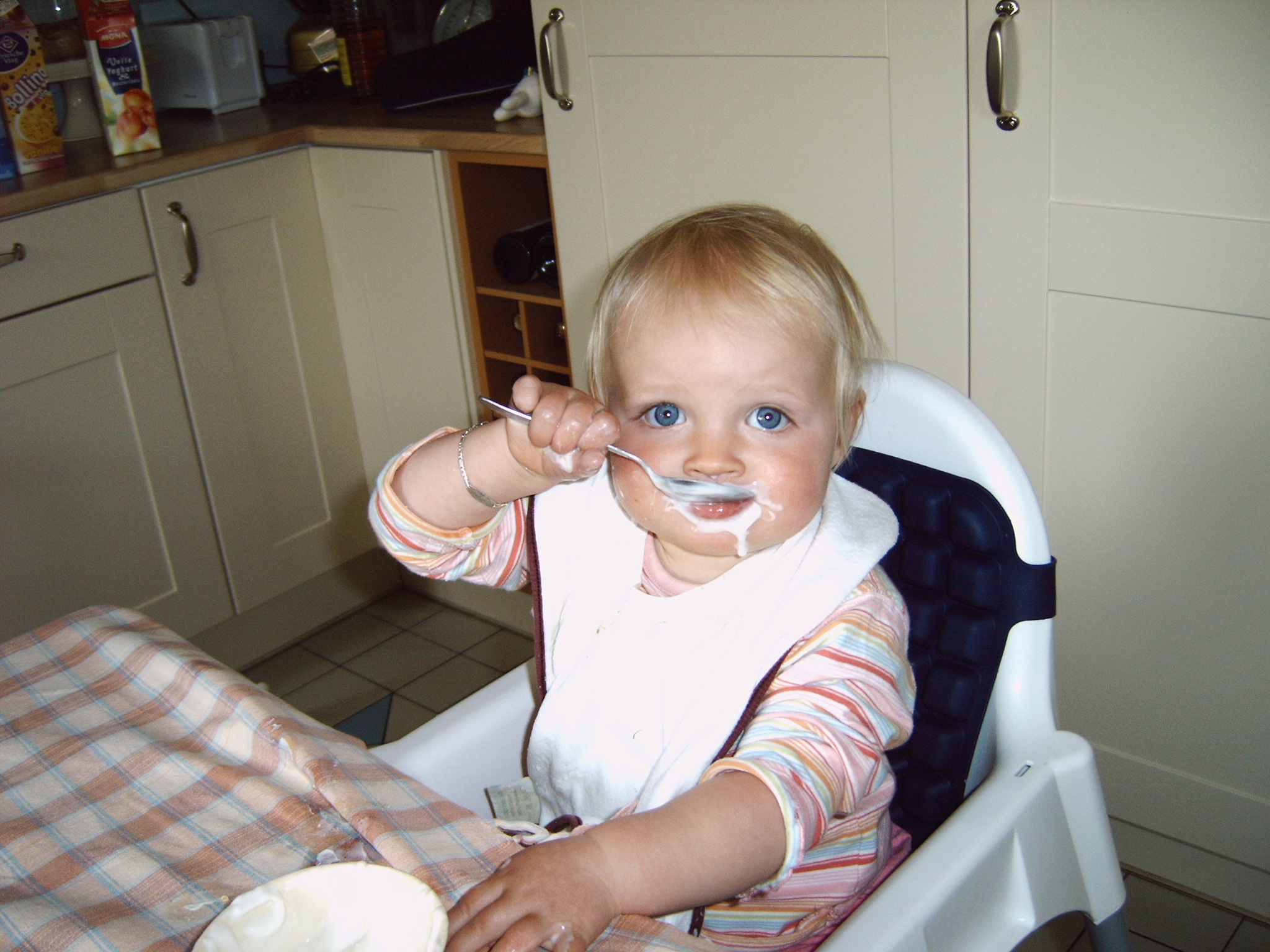 Yoghurt11 01 06 2005
